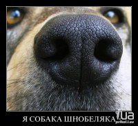 user-icon