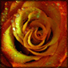 user-icon
