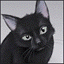 user-icon